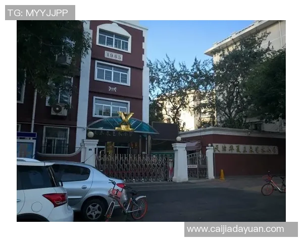 高炜足球：探索中国足球新生力量与未来发展之路