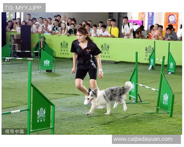 狗狗足球品牌的崛起与发展探索如何为宠物运动带来新风尚与活力 狗狗足球品牌的崛起与发展探索如何为宠物运动带来新风尚与活力