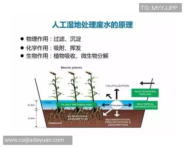 足球小教程:从基础技巧到战术分析的全面指南 足球小教程:从基础技巧到战术分析的全面指南