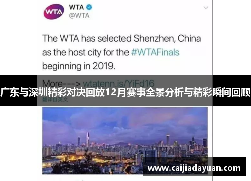 广东与深圳精彩对决回放12月赛事全景分析与精彩瞬间回顾