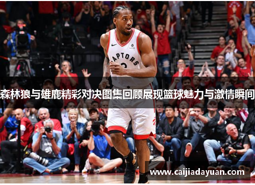 森林狼与雄鹿精彩对决图集回顾展现篮球魅力与激情瞬间 森林狼与雄鹿精彩对决图集回顾展现篮球魅力与激情瞬间