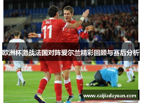 欧洲杯激战法国对阵爱尔兰精彩回顾与赛后分析