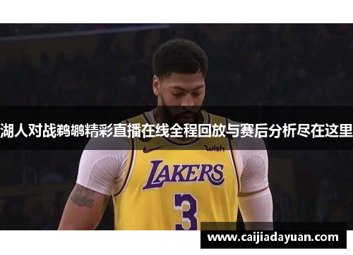 湖人对战鹈鹕精彩直播在线全程回放与赛后分析尽在这里